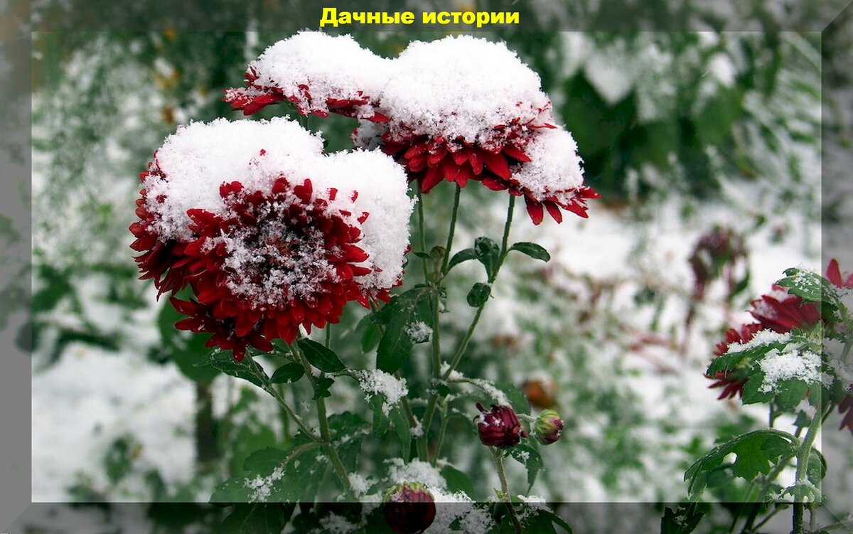 https://vk.com/photo-159774511_457249161