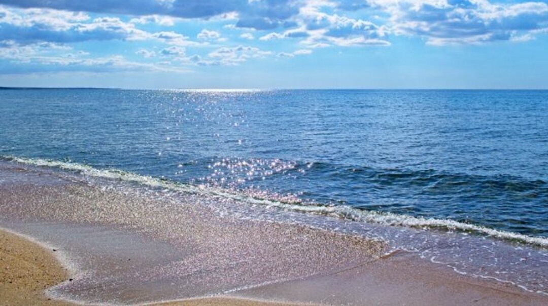 Побережье Азовского моря
