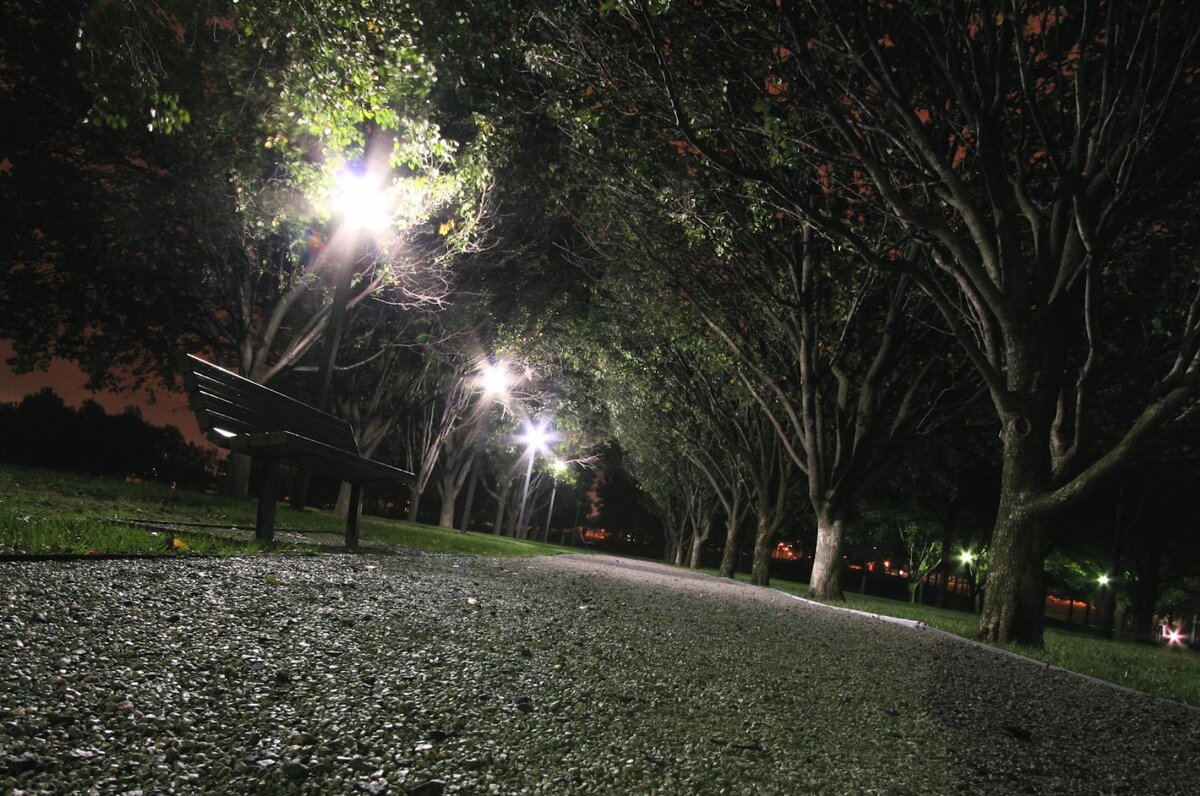 Тротуар парка ночью