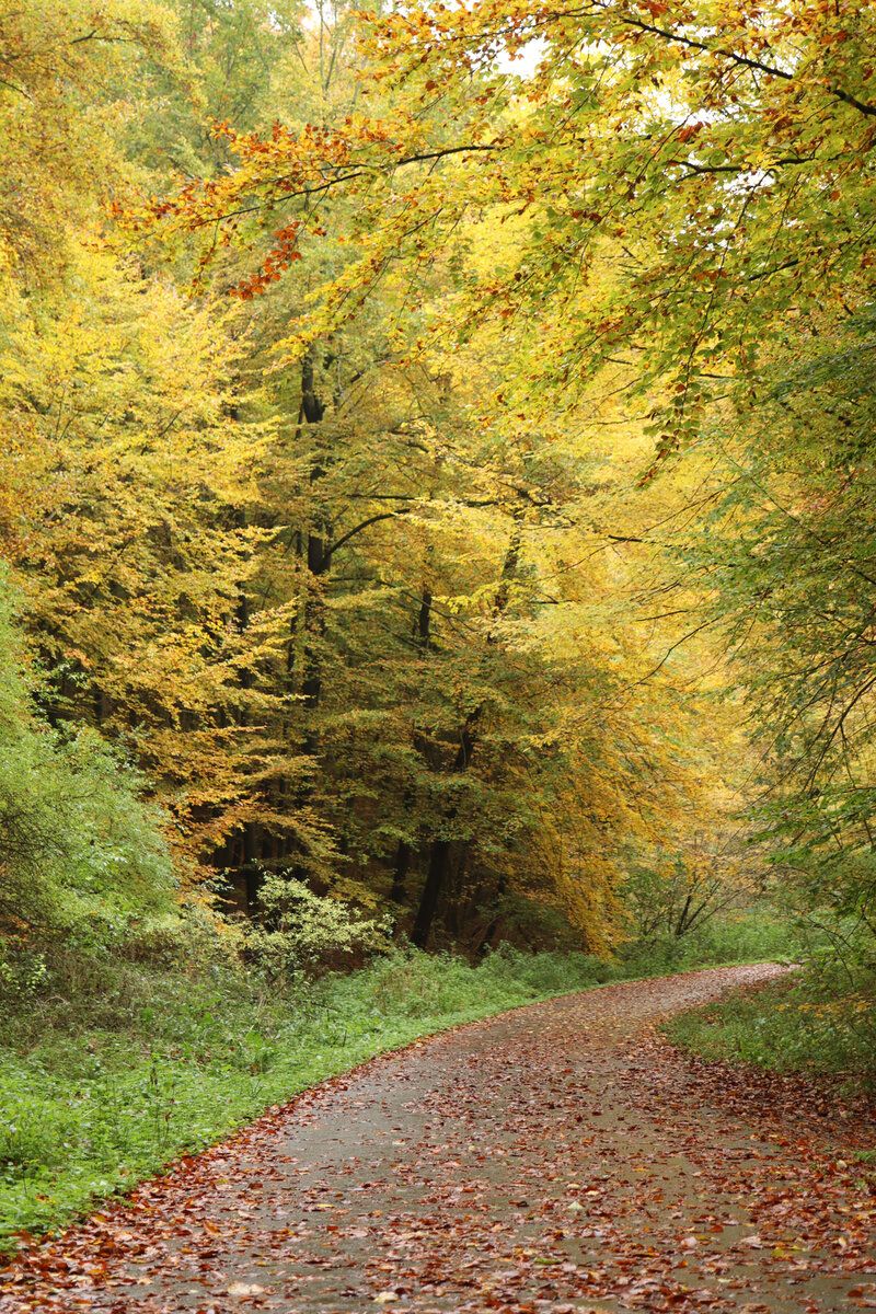 Поход в Хоэнштайн. Начало пути. 