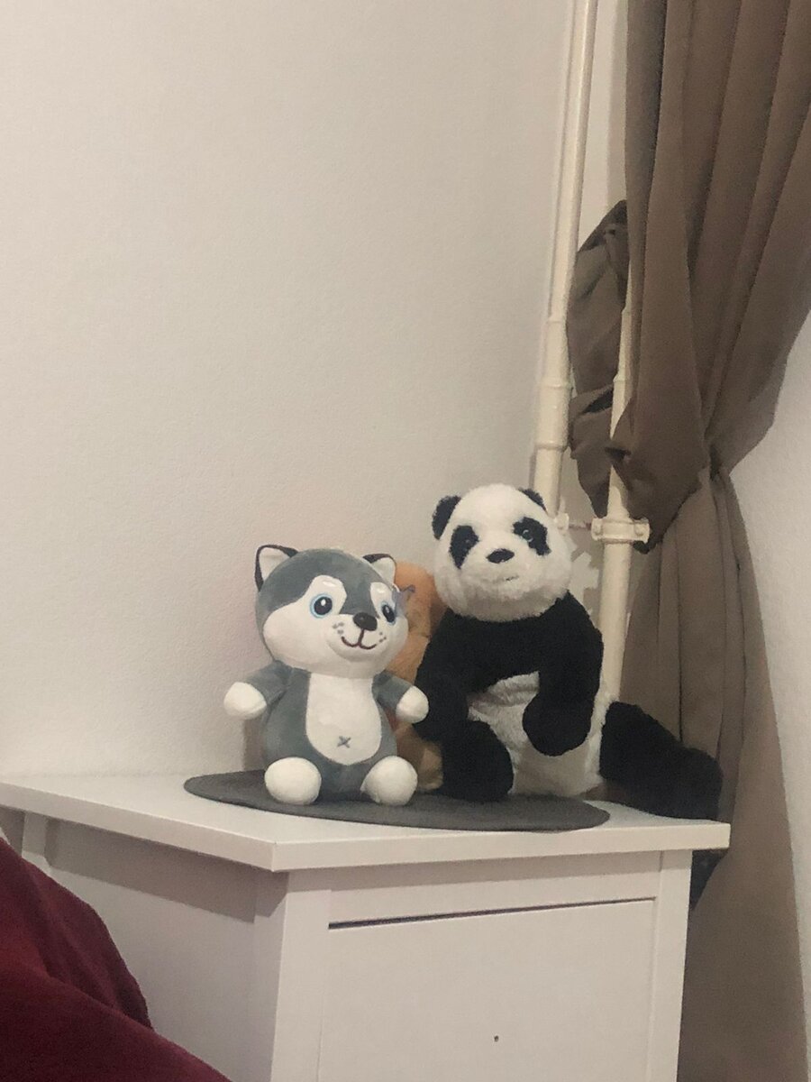 доставка мягких игрушек Москва от магазина мягких игрушек в Москве Первая Букетная