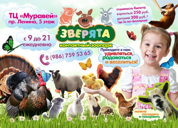  рекламный баннер моего зоопарка 