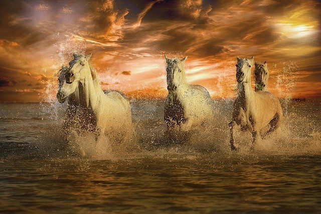 Изображение ELG21 с сайта Pixabay 