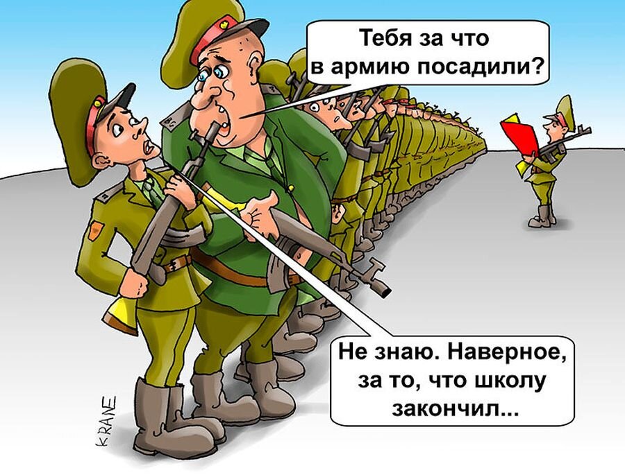 Из сети. Для оформления.