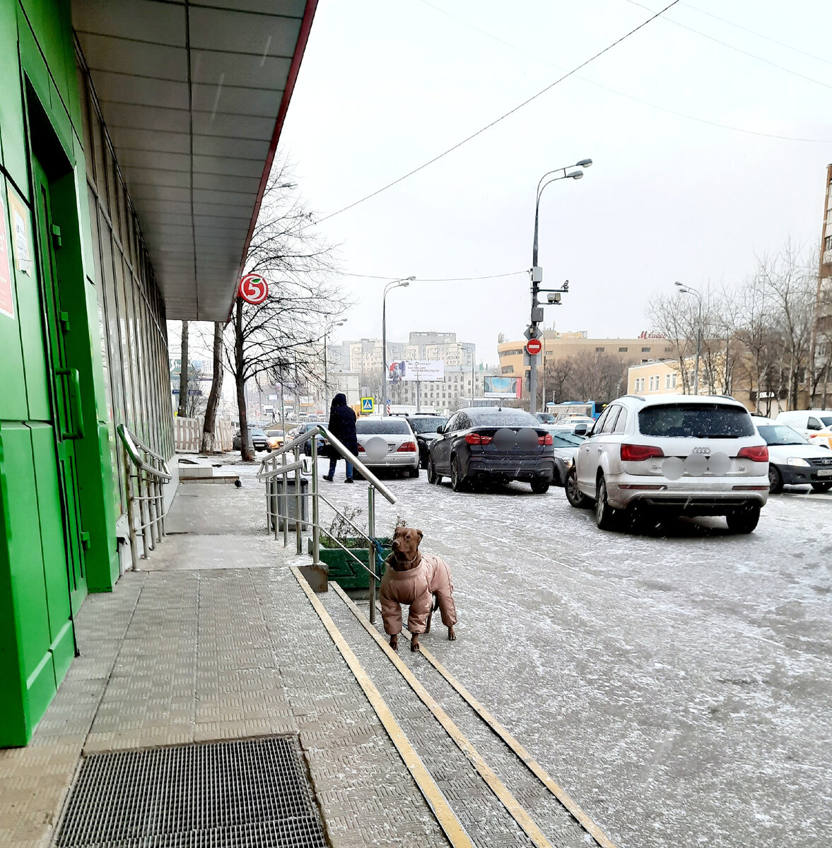 Того добермана, естественно, фото у меня нет, поэтому вставлю здесь кадр, который сделала этой зимой, с одетой собакой, ожидающей хозяина у магазина