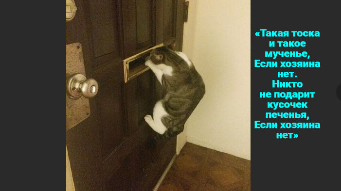 Фото с 123ru.net. Цитата из песни Г. Гладкова из ТВ_шоу