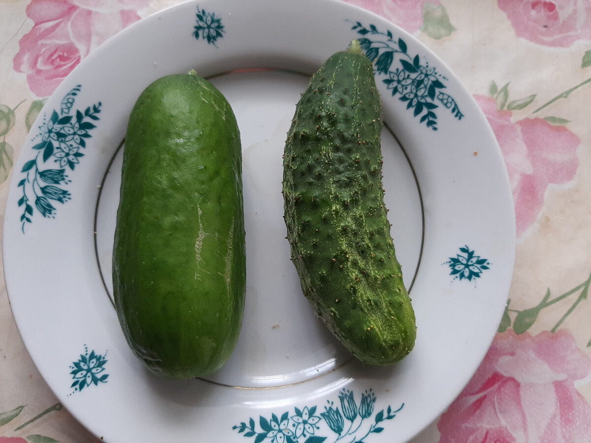 переросший выглядит толстоватым, но не теряет сочность.