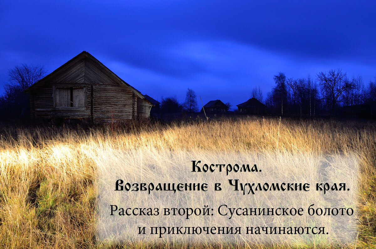 Кострома. Возвращение в Чухломские края. Рассказ второй. | Тропами Руси |  Дзен