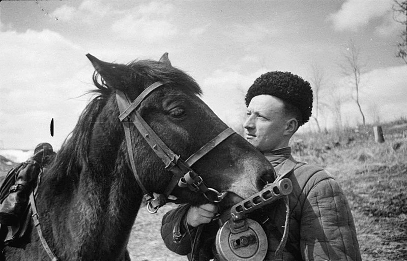 Кавалерист и лошадка в годы Великой Отечественной войны