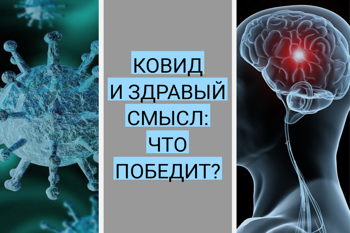 Градус абсурда ситуации с коронавирусом местами начинает повышаться.