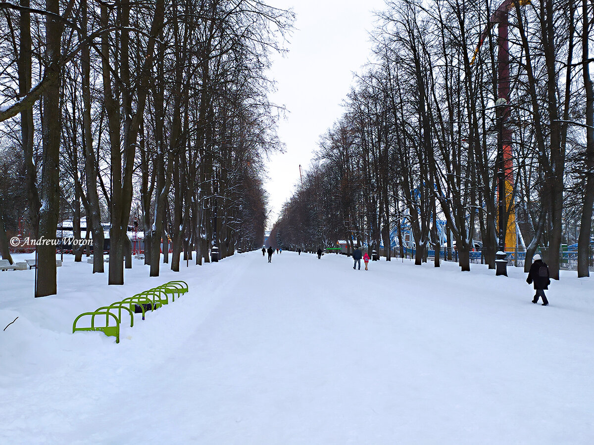 Центральная аллея парка