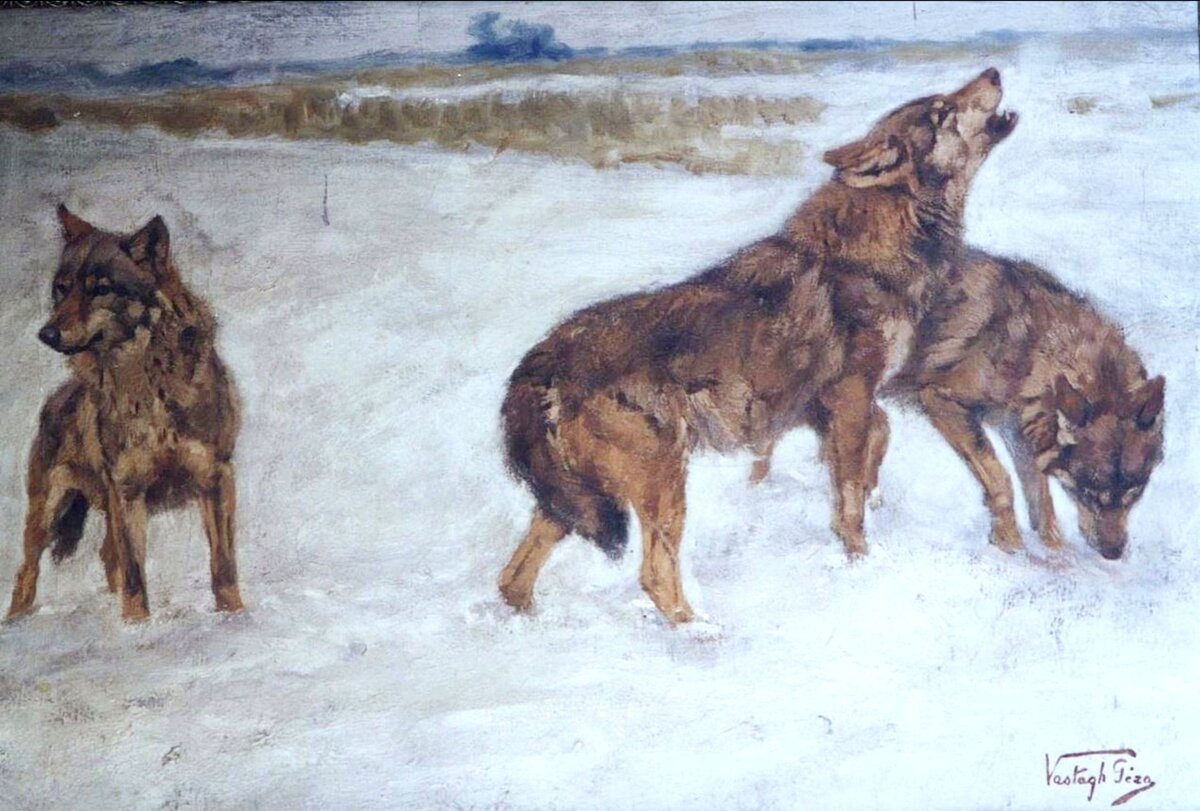 Геза Вастах 1866-1919. Вой