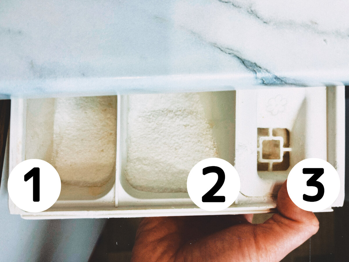 Я засыпала порошок всегда в первый отсек