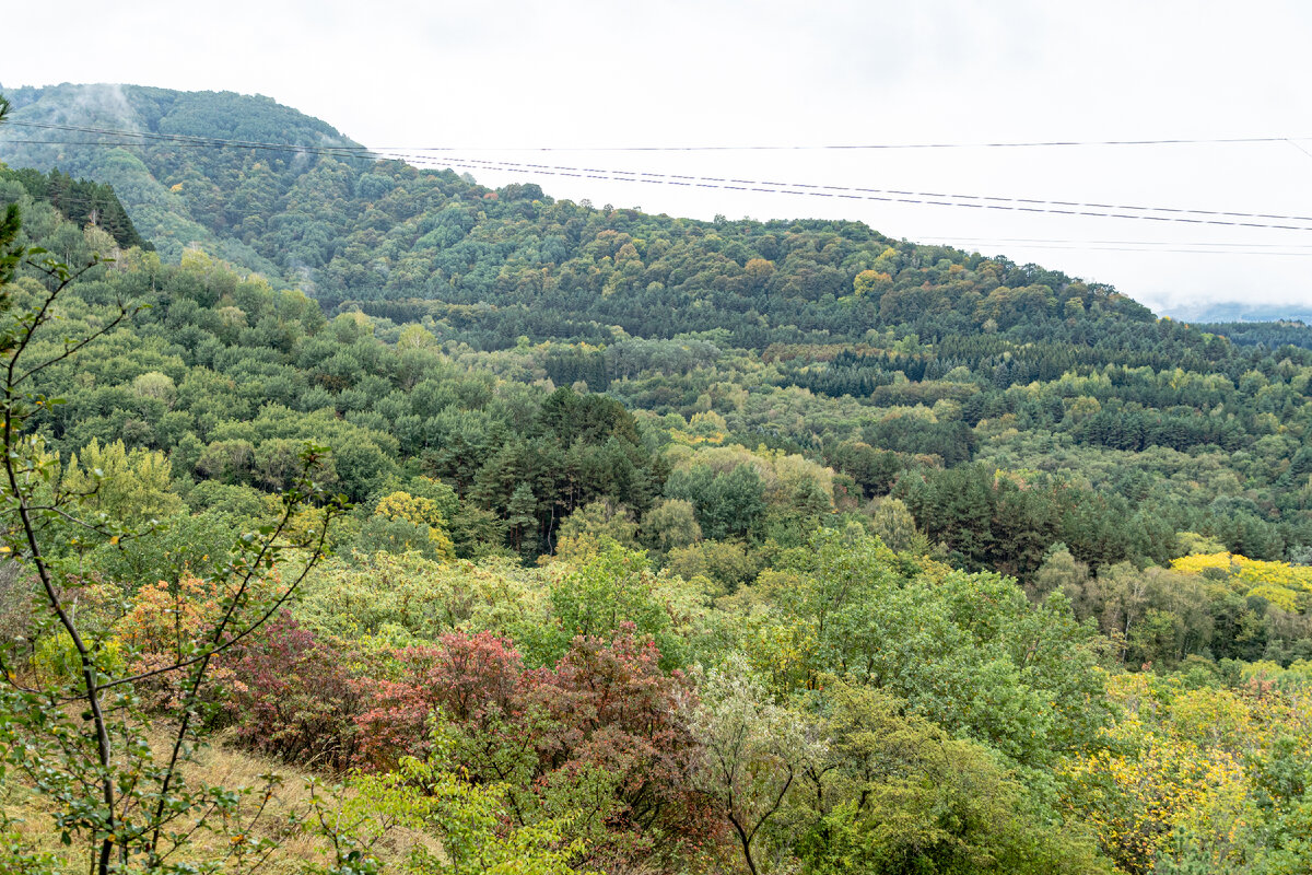 2. Долина реки Посейдон. Выше центра кадра видна канатная дорога.