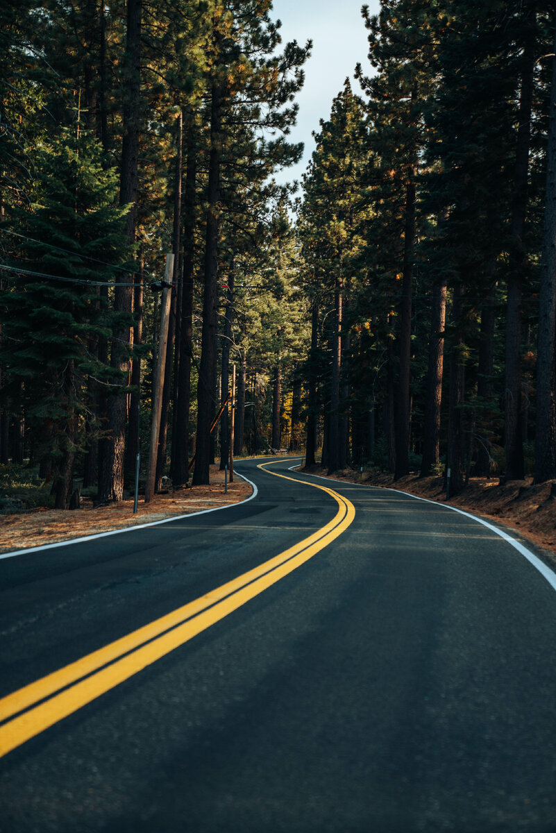 Photo by Meritt Thomas on Unsplash
