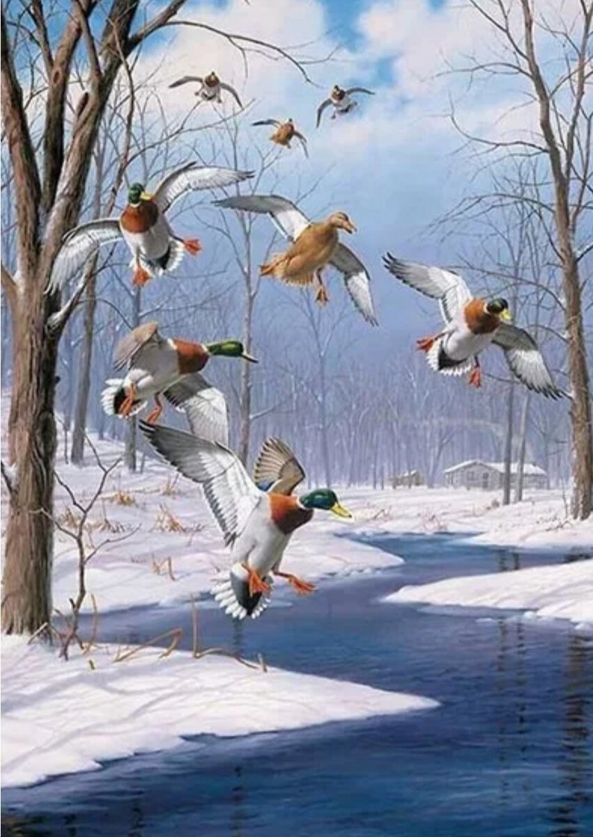 Приход весны птицы. Художник David a. Maass. Пейзаж с птицами. Птицы ранней весной.