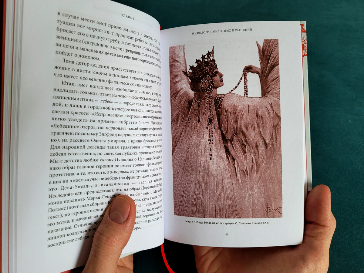 В качестве примера сфотографировала для вас отдельные страницы, листайте галерею