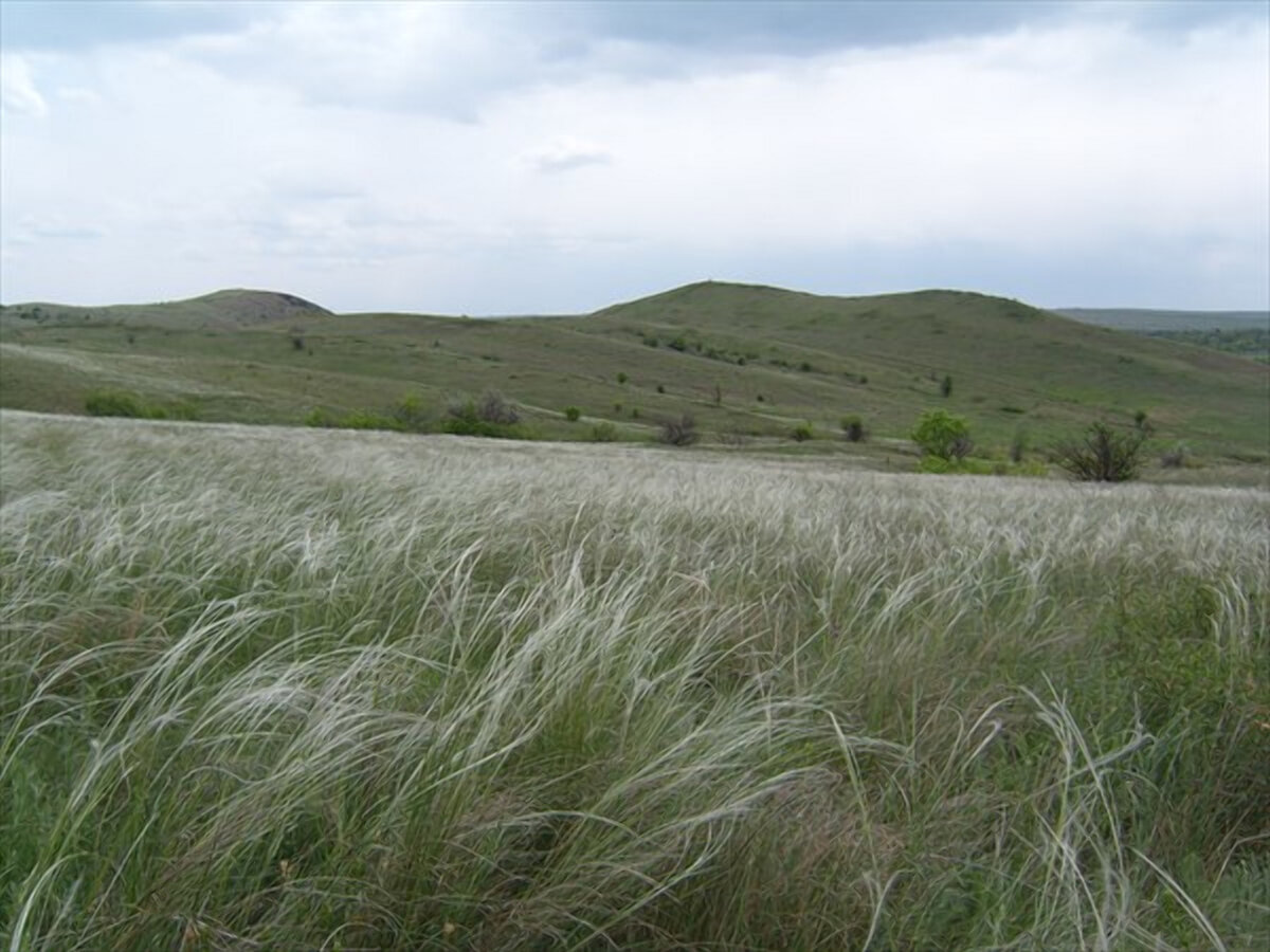 Фото из открытого источника Яндекс 