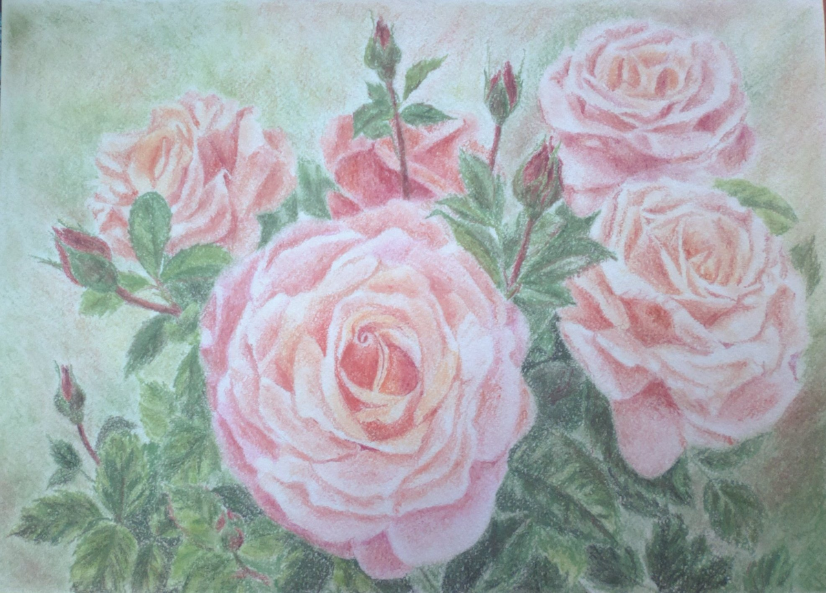 Анжелика Гулавская. Розовые розы
