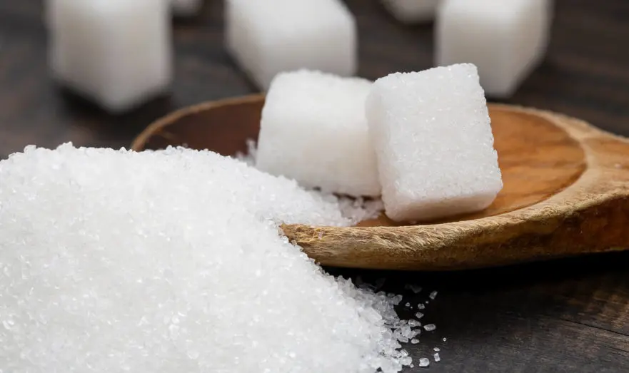 Фото: Shutterstock 