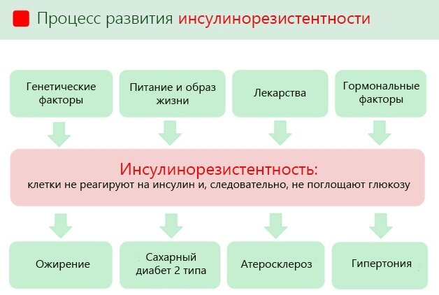 Есть ли у вас  инсулинорезистентность? 