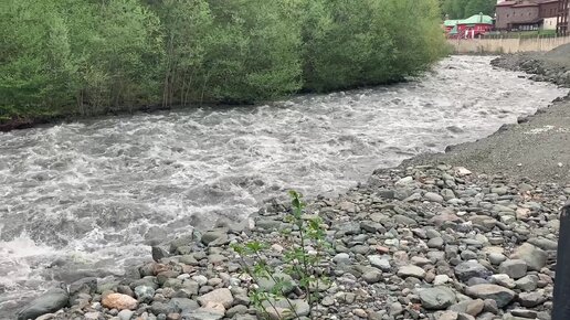 Современное экологическое состояние реки Мзымта