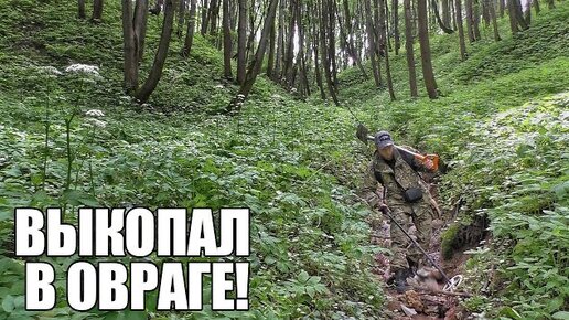 Однажды я заблудился в лесных оврагах бормотали