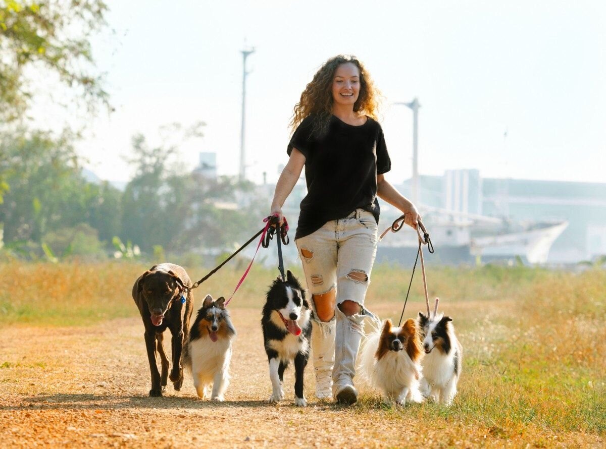 Источник: Pexels