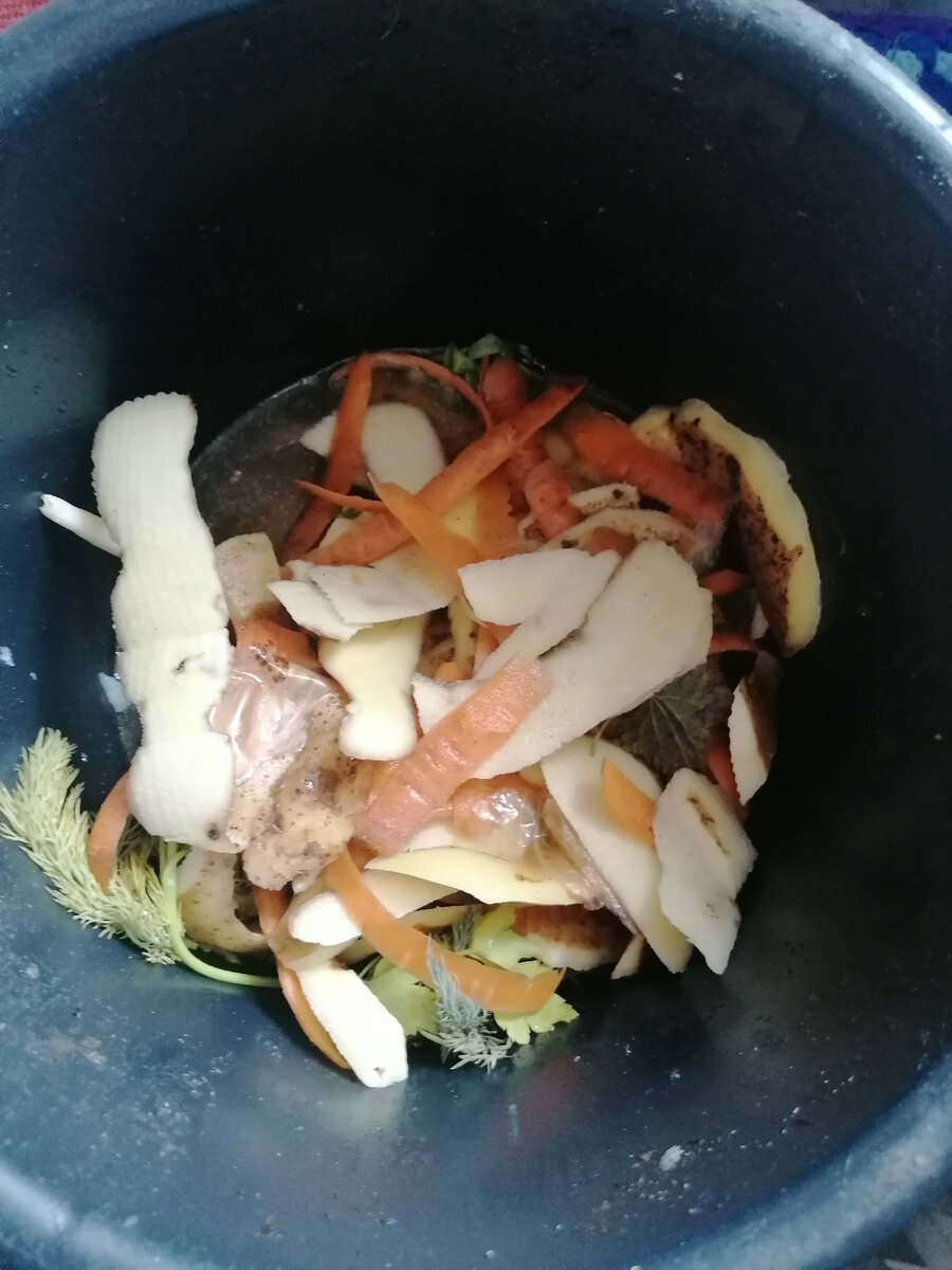 очистки горожане выкидывают, а деревенские получают из них удобрение