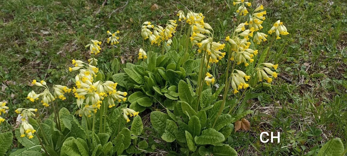 фото автора (вчерашнее)