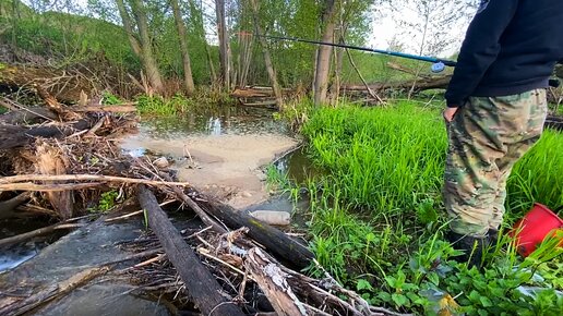 Рыбалка на маленькой речушке, рядом с заброшенным селом.