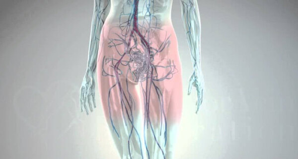 Источник - https://vascul.ru/articles/varikoz-malogo-taza