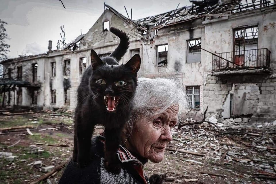 Фотоиллюстрация из свободного доступа в интернете.