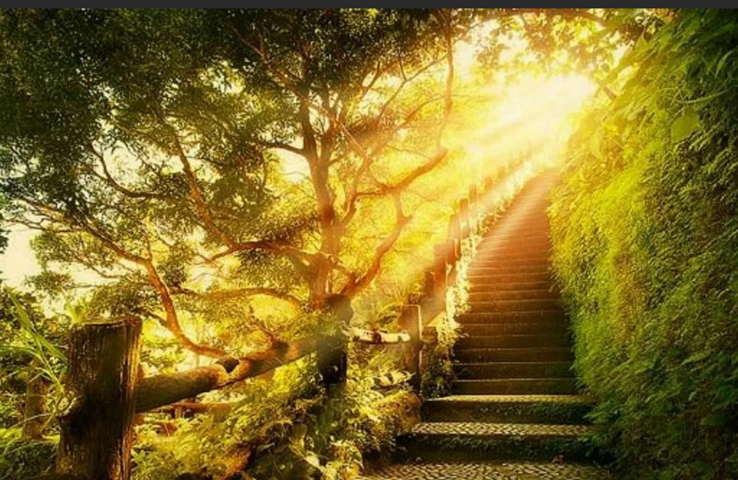 Изображение предоставлено бесплатным сервисом Яндекс. Картинки.