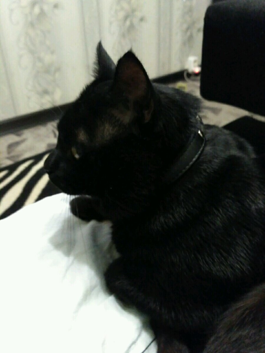 Источник: личное фото