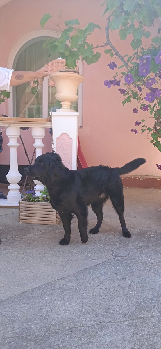 Это я сегодня утром, так сказать до... 