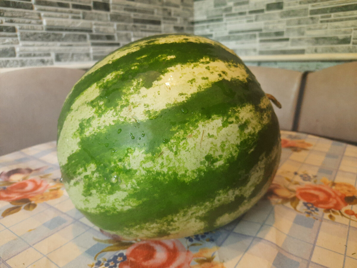 Поделки в детский сад и школу | Оригинальная задумка из арбуза 🍉 | Instagram