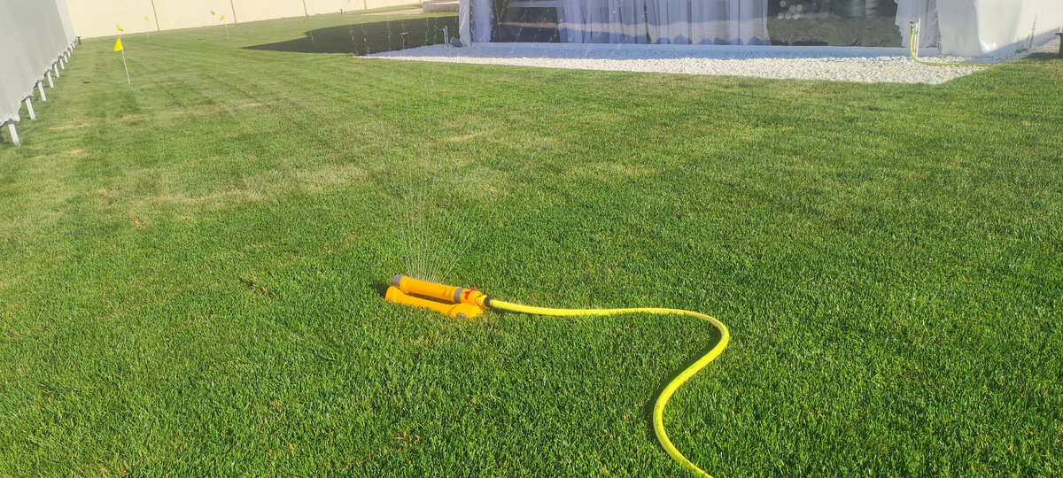 Последствия недостаточного полива