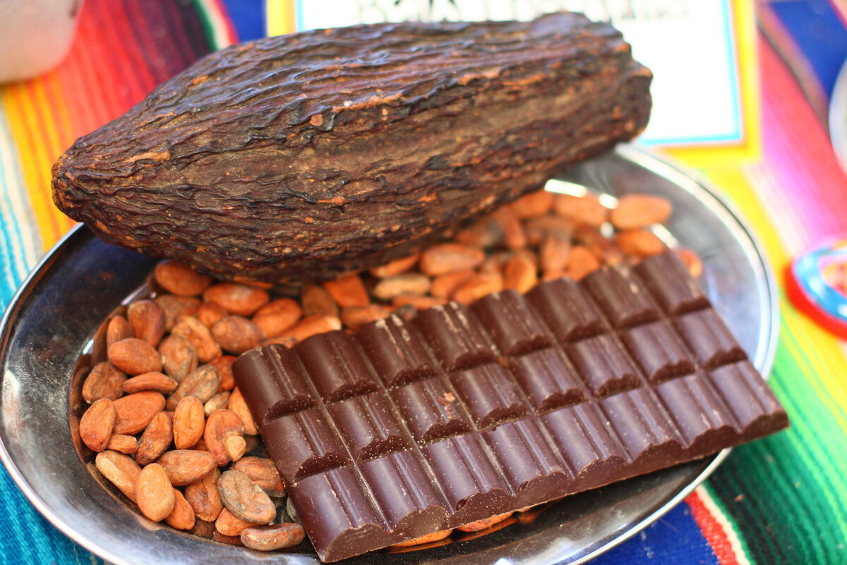 El arbol de cocao Single Origin Tree to Bar Chocolate