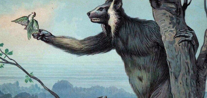 Изображение взято с сайта https://fishki.net/3372273-megaladapis-50-cheljustej-i-1-mozga-lenivyj-lemur-kotoryj-umer-iz-za-svoej-gluposti.html