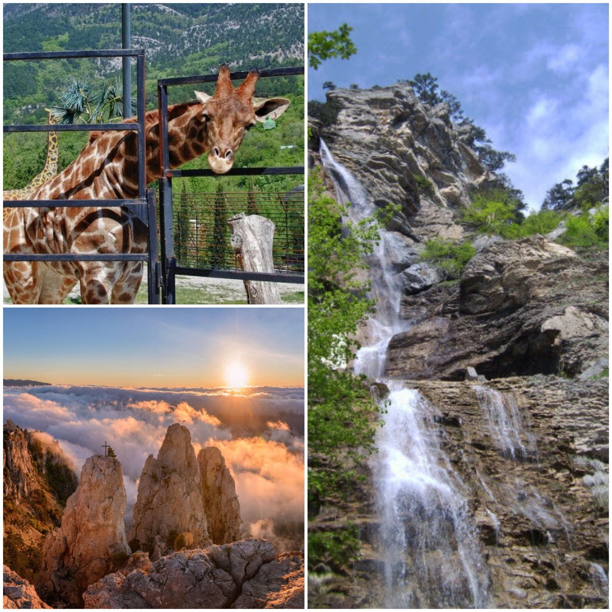 Ялта. Крым. (Фото из интернета)