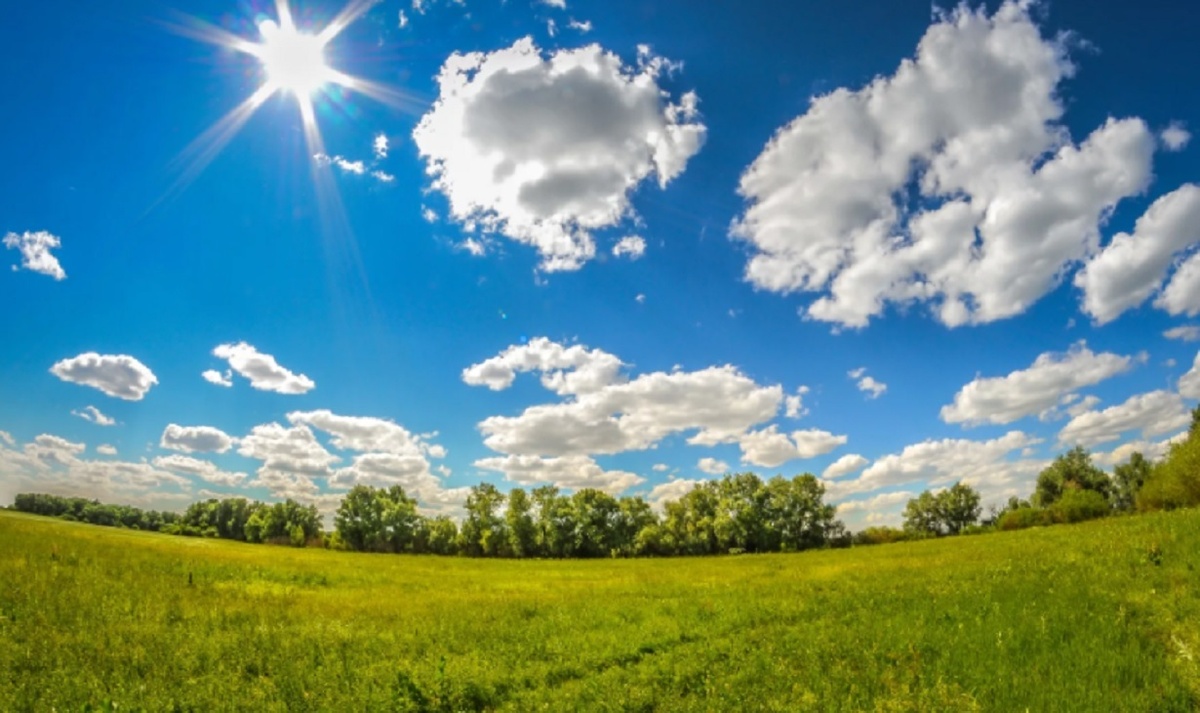 Фото — oir.mobi