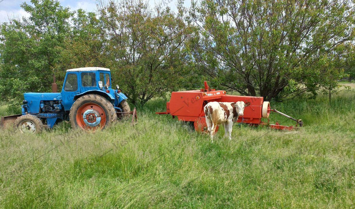  Фото автора