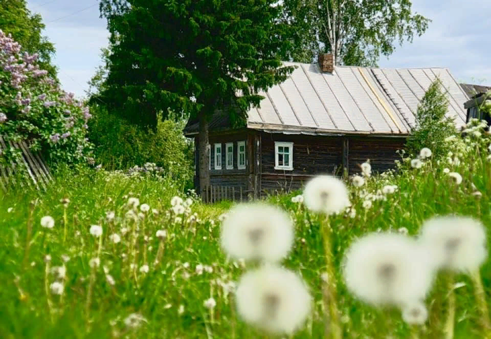 У реки Березка скромница и ромашковый бугор