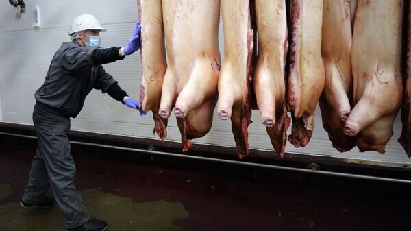   © Sputnik / Владимир Песня