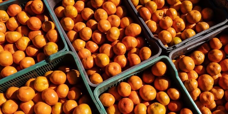 Фото: Mauricio Palos / Bloomberg