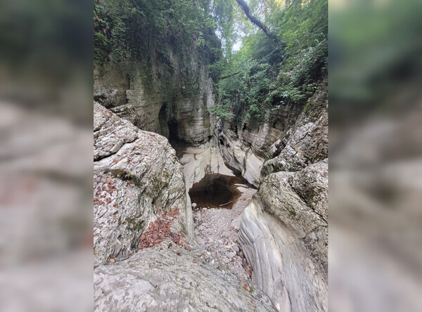 Пересохшее ущелье реки Агуры. Обложка © Telegram-канал СОЧИНСКИЙ НАЦПАРК