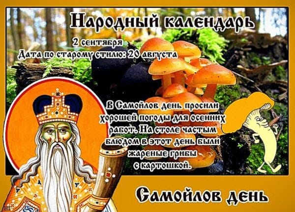 Хорошей  погоды 