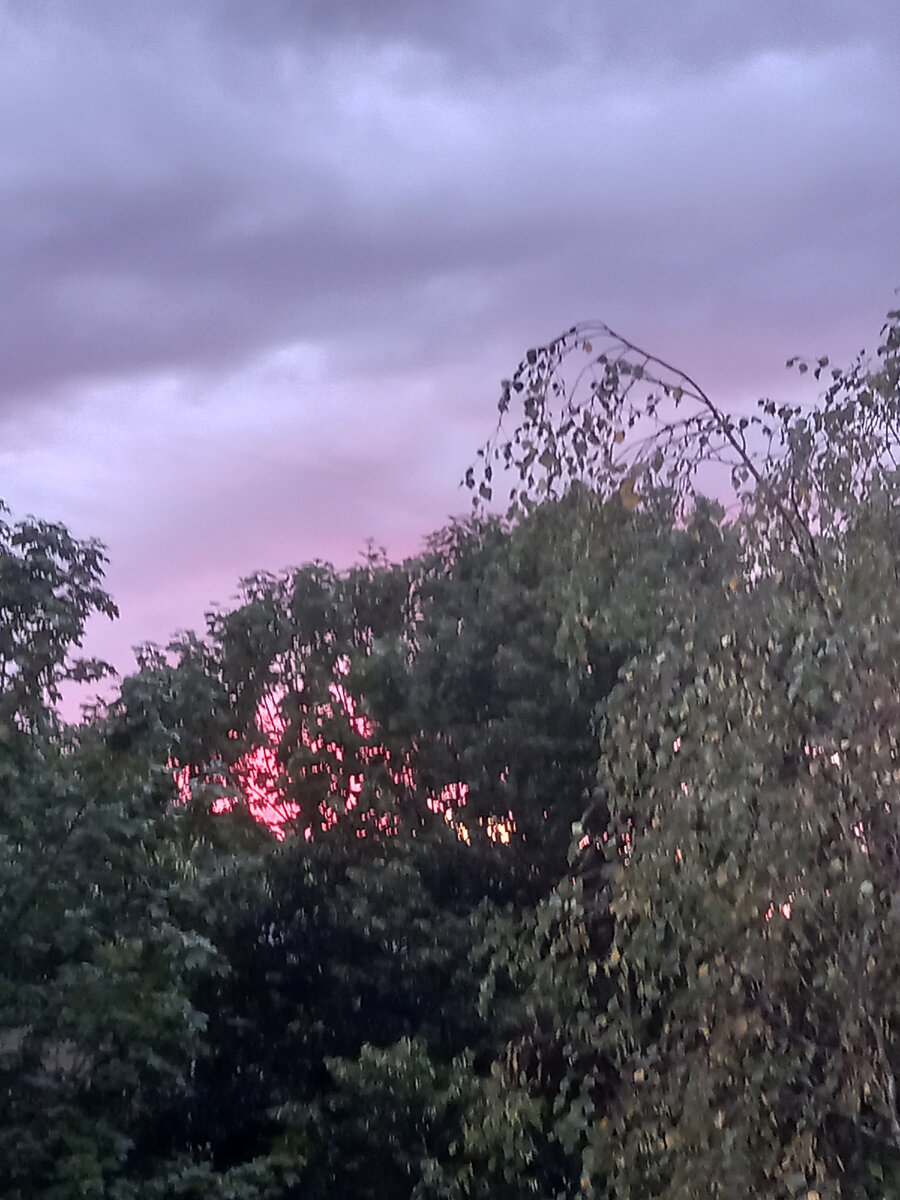 Фото автора. Субботний закат.