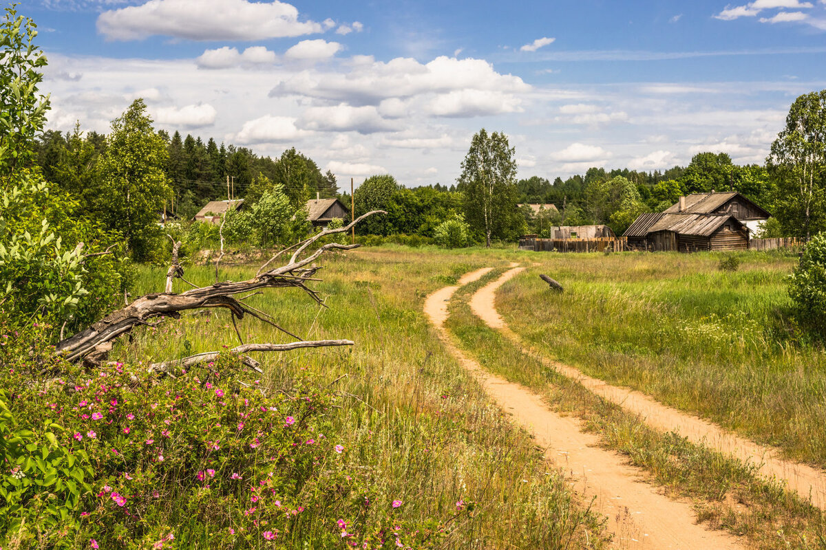 Фото из открытых интернет источников.